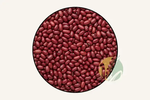 Red Bean