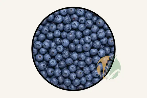 Blueberries