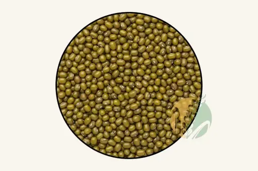 Mung Bean