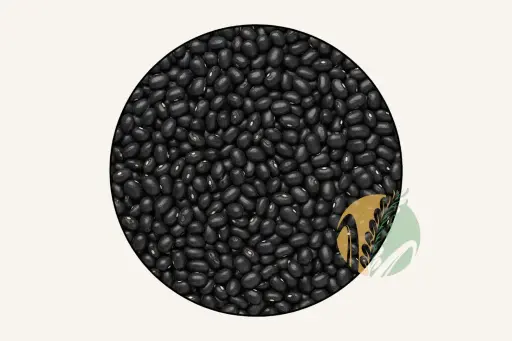 Black Bean